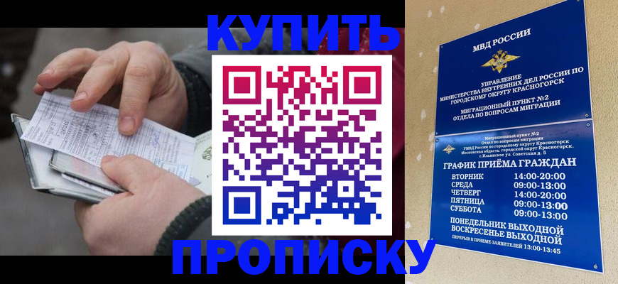 временная регистрация недорого в Россоши